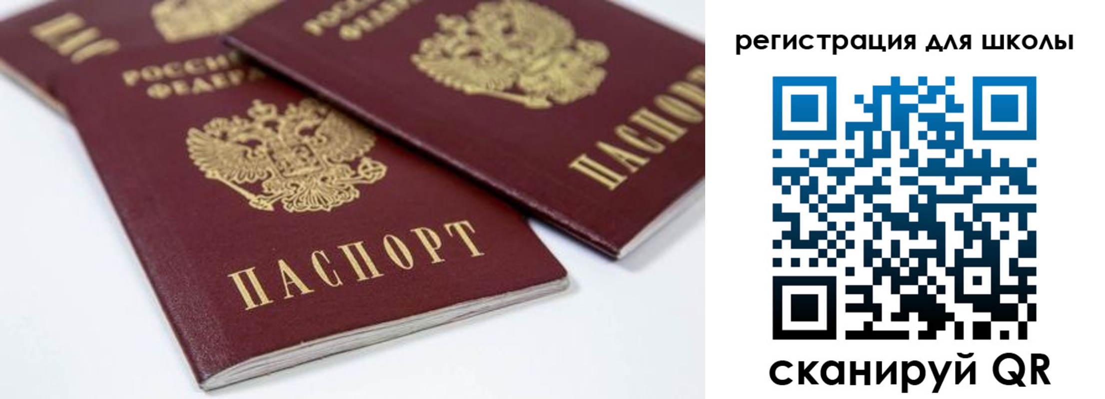 временная регистрация для всех в Амурской области